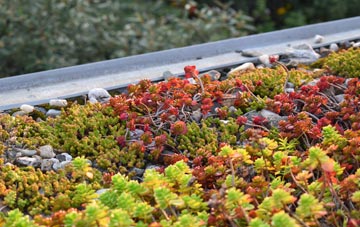 the cost of Wescoe Hill green roof installation