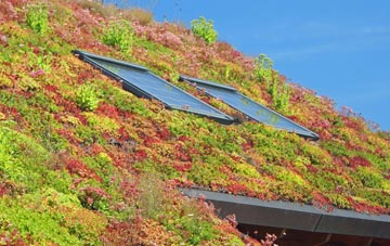 Wescoe Hill living roof systems